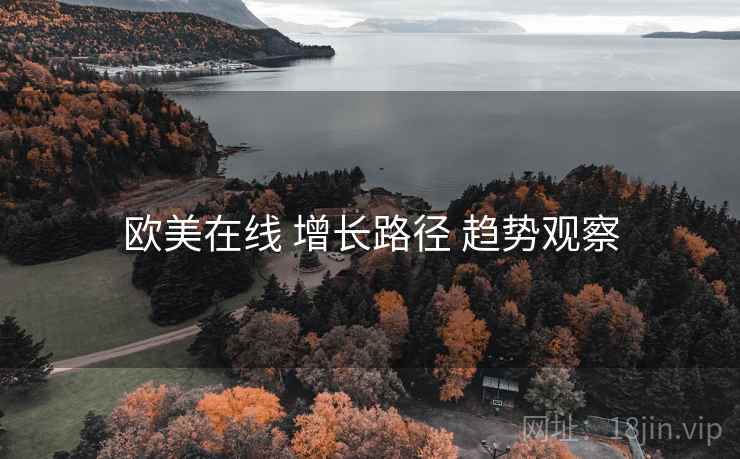 欧美在线 增长路径 趋势观察