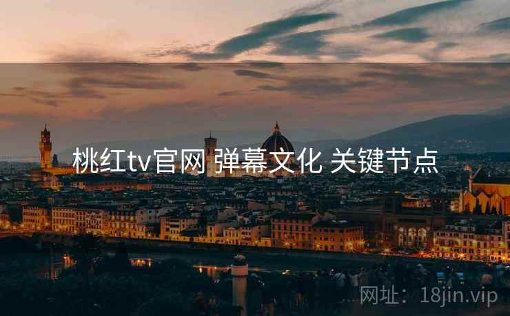 桃红tv官网 弹幕文化 关键节点  第2张