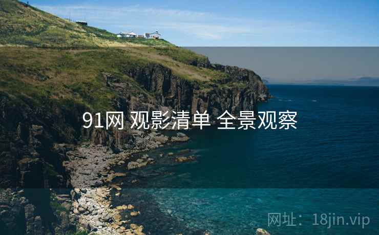 91网 观影清单 全景观察
