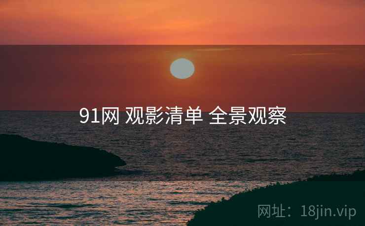 91网 观影清单 全景观察