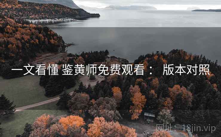 一文看懂 鉴黄师免费观看 ： 版本对照  第1张