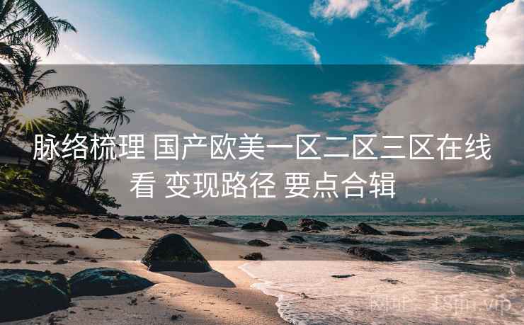 脉络梳理 国产欧美一区二区三区在线看 变现路径 要点合辑  第2张
