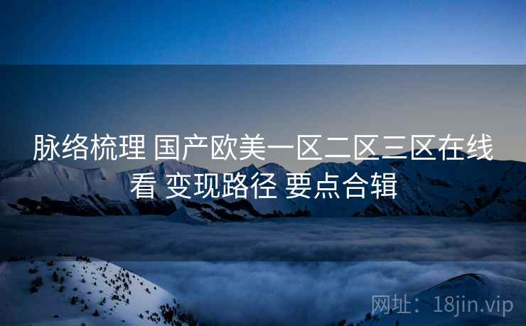 脉络梳理 国产欧美一区二区三区在线看 变现路径 要点合辑  第1张