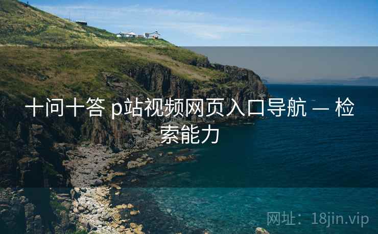 十问十答 p站视频网页入口导航 — 检索能力