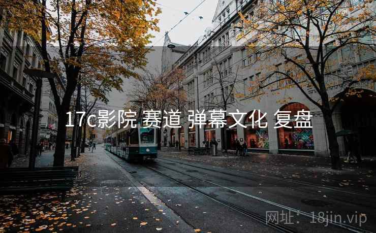 17c影院 赛道 弹幕文化 复盘