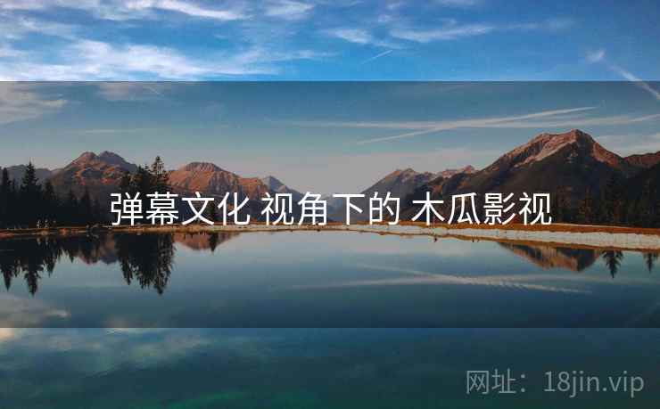 弹幕文化 视角下的 木瓜影视