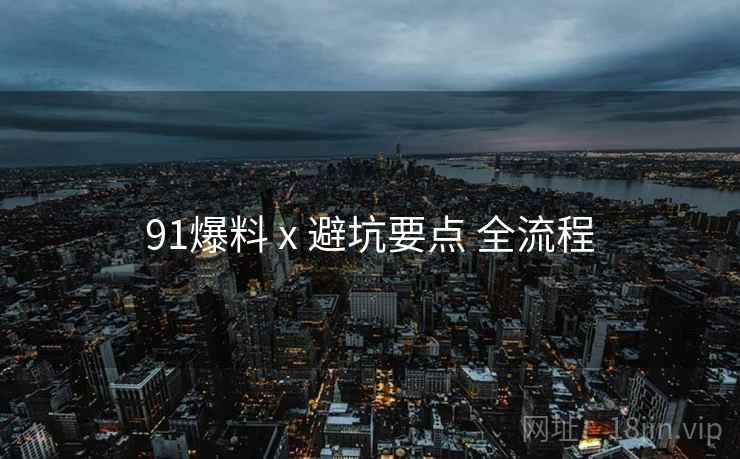91爆料 x 避坑要点 全流程