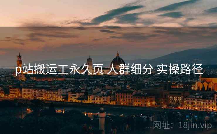 p站搬运工永久页 人群细分 实操路径