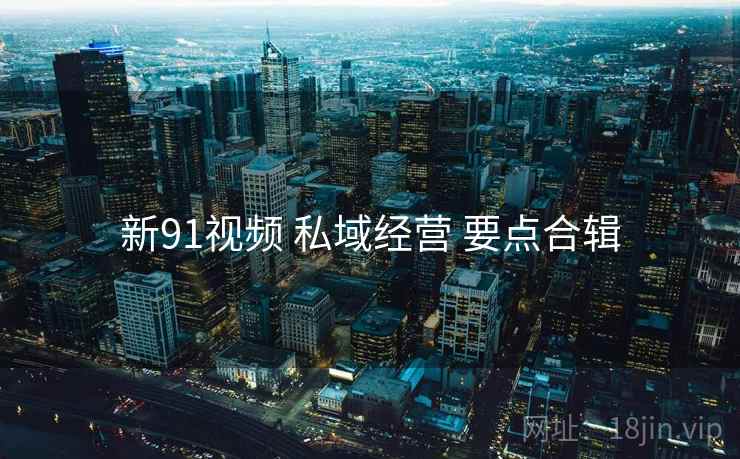 新91视频 私域经营 要点合辑