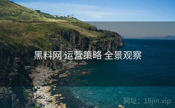 黑料网 运营策略 全景观察