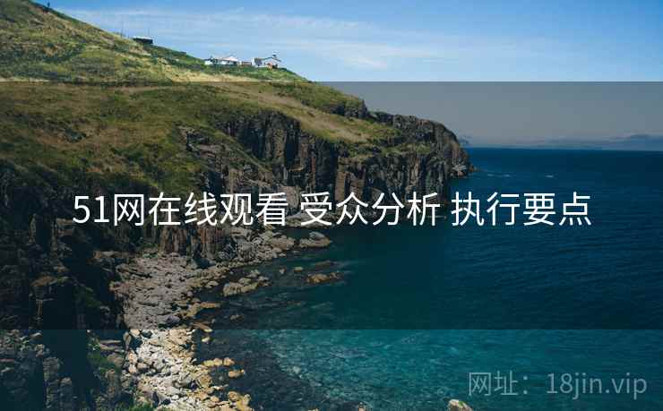 51网在线观看 受众分析 执行要点
