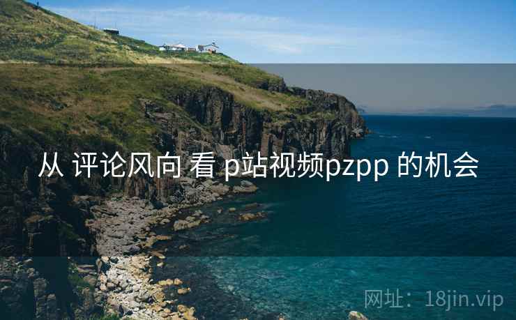 从 评论风向 看 p站视频pzpp 的机会